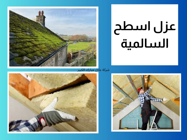 عزل اسطح السالمية