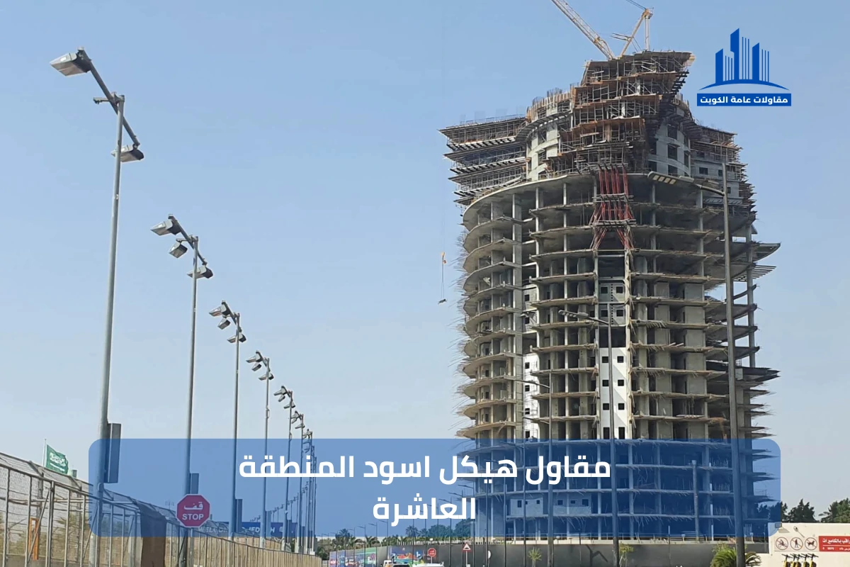 مقاول هيكل اسود المنطقة العاشرة 99441301