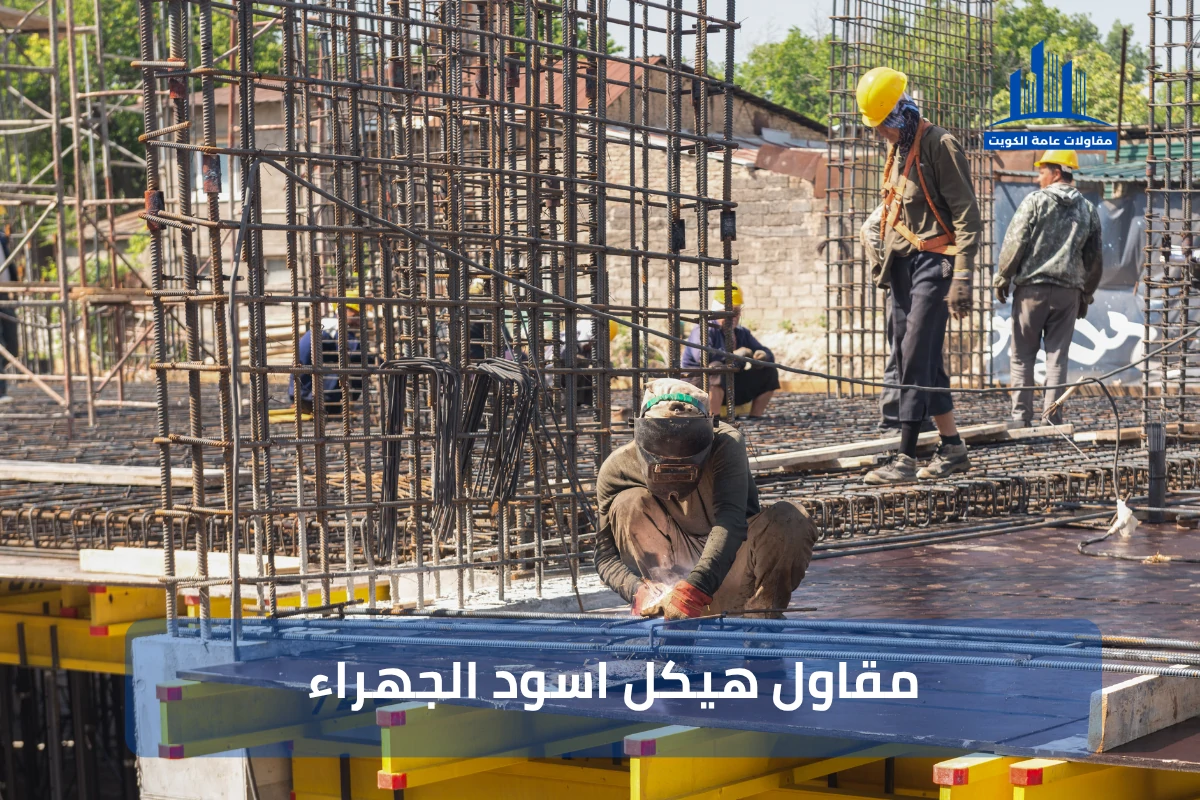 مقاول هيكل اسود الجهراء 99441301